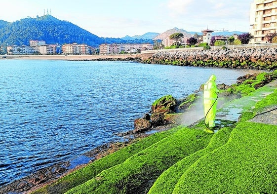 Zona de solárium del litoral de Castro donde se está retirando el verdín.