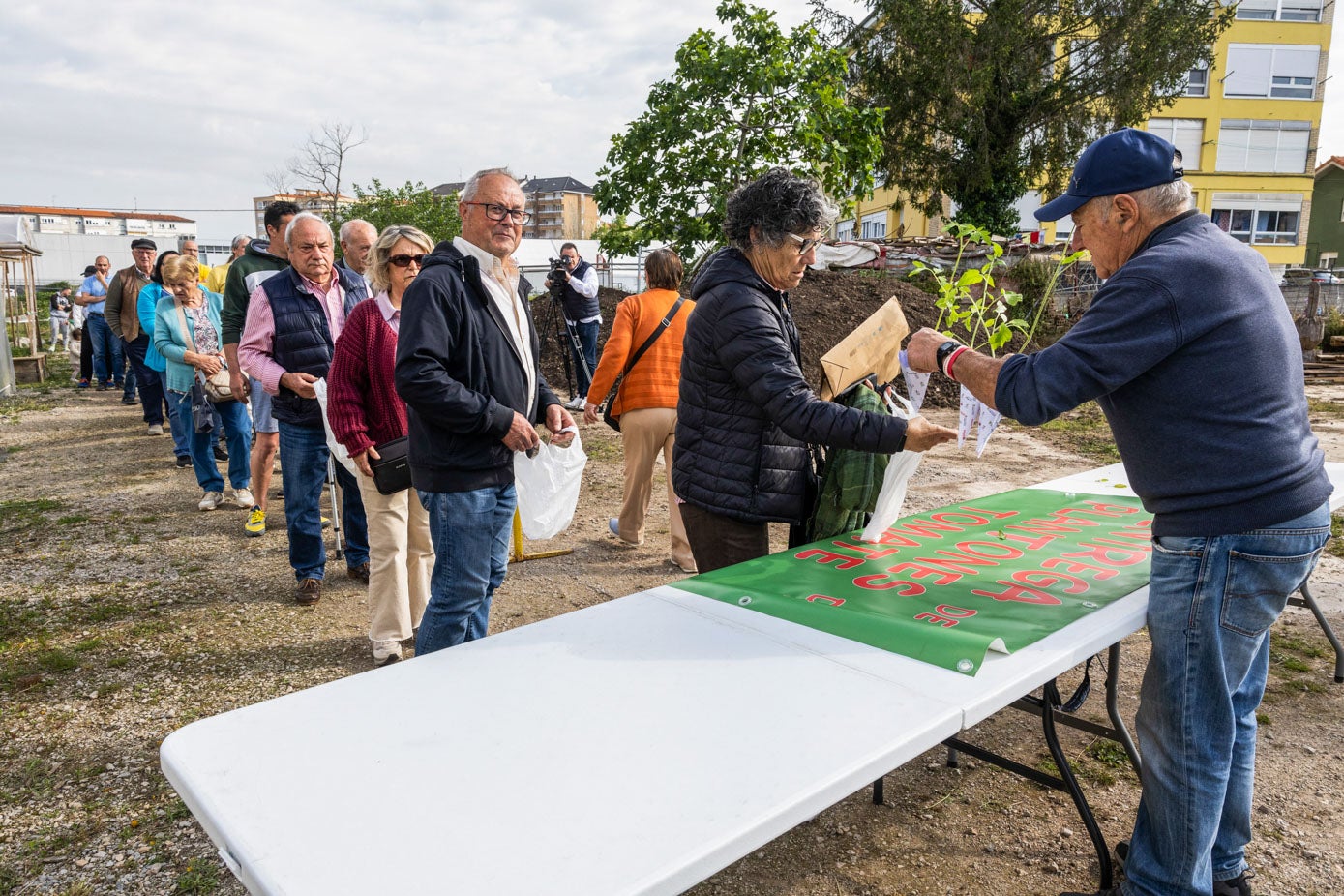 Vecinos hacen cola para recibir plantas de tomate, este jueves, en Torrelavega. 