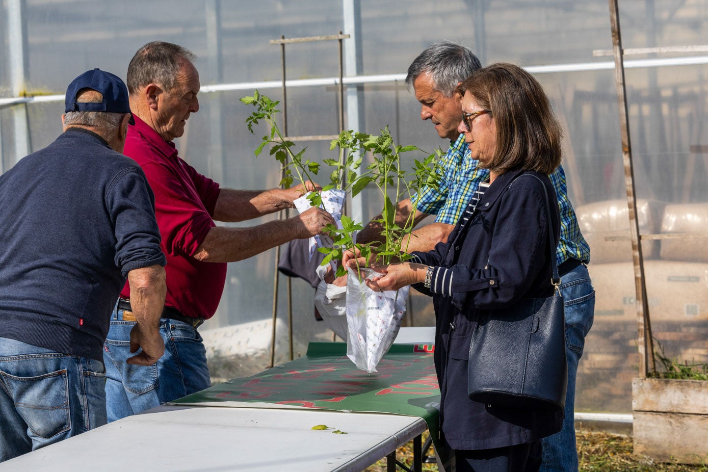 La gran ofrenda de plantas se ha realizado en colaboración con la Asociación Simientes Infinitas, que también organiza el Festival del Tomate.