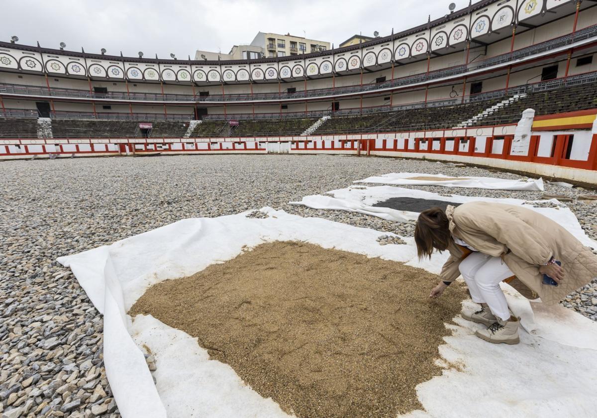 La arena elegida para la plaza de Cuatro Caminos llegará desde Palencia