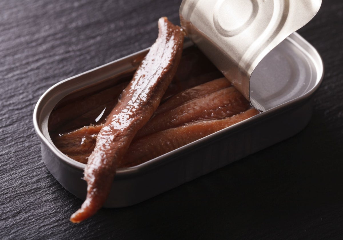 Anchoas, el orgullo del Cantábrico