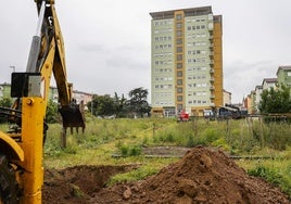 Las máquinas desmantelan los huertos urbanos.