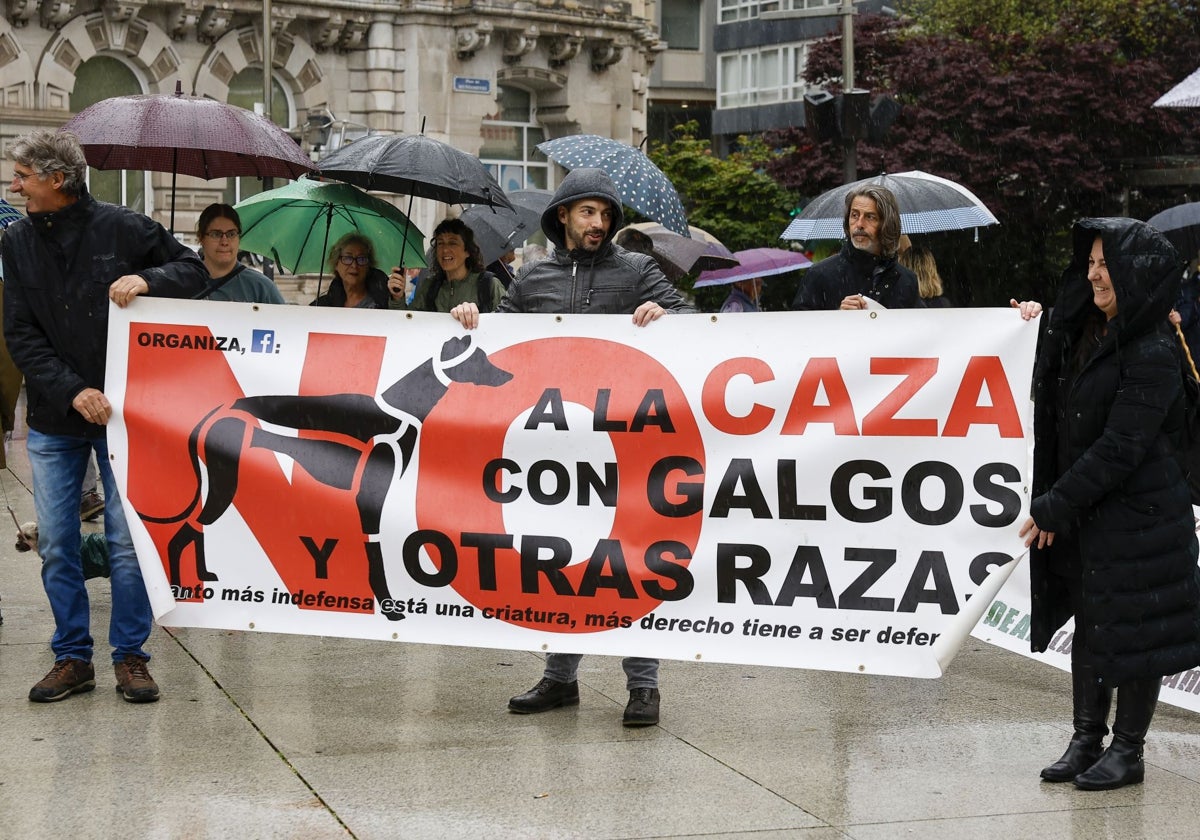 Imagen de Galeria 