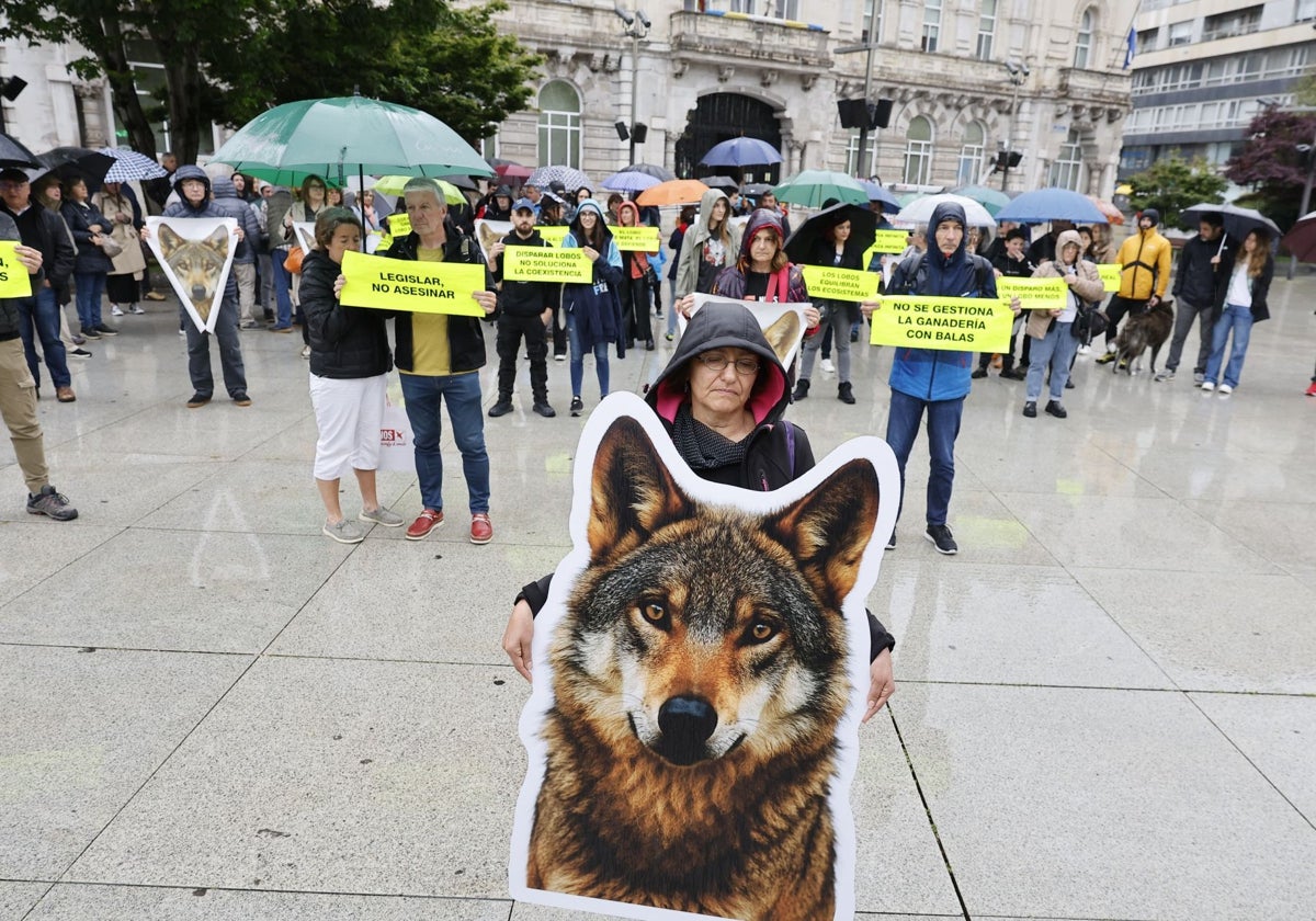 Concentración en Santander en contra de la «persecución» y la «matanza» del lobo en Cantabria