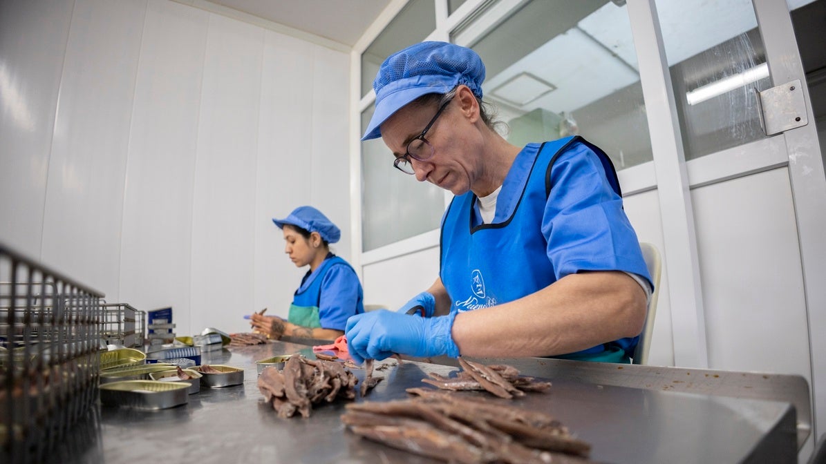 Así se elabora la mejor Anchoa de Cantabria de 2025