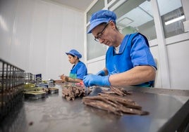 Así se elabora la mejor Anchoa de Cantabria de 2025
