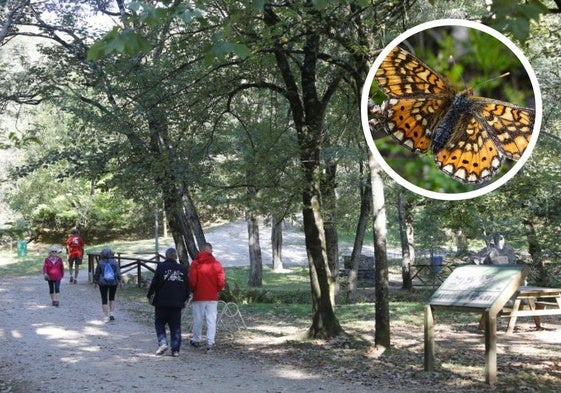 La mariposa tigre podría ser una de las que observaran los participantes en esta actividad en el Parque de La Viesca.