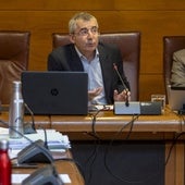 Luis Carretero, durante su intervención ayer en la Comisión de Sanidad del Parlamento.