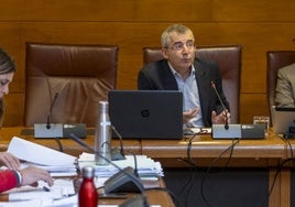 Luis Carretero, durante su intervención ayer en la Comisión de Sanidad del Parlamento.