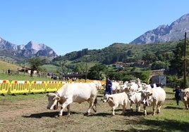 La finca de Soarmaño acogió la celebración de la feria en Tama