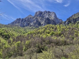 El bosque bajo las montañas es una de las postales imprescindibles en la ruta