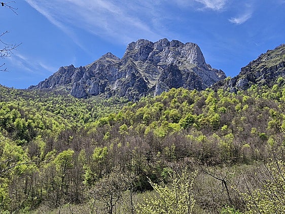 El bosque bajo las montañas es una de las postales imprescindibles en la ruta