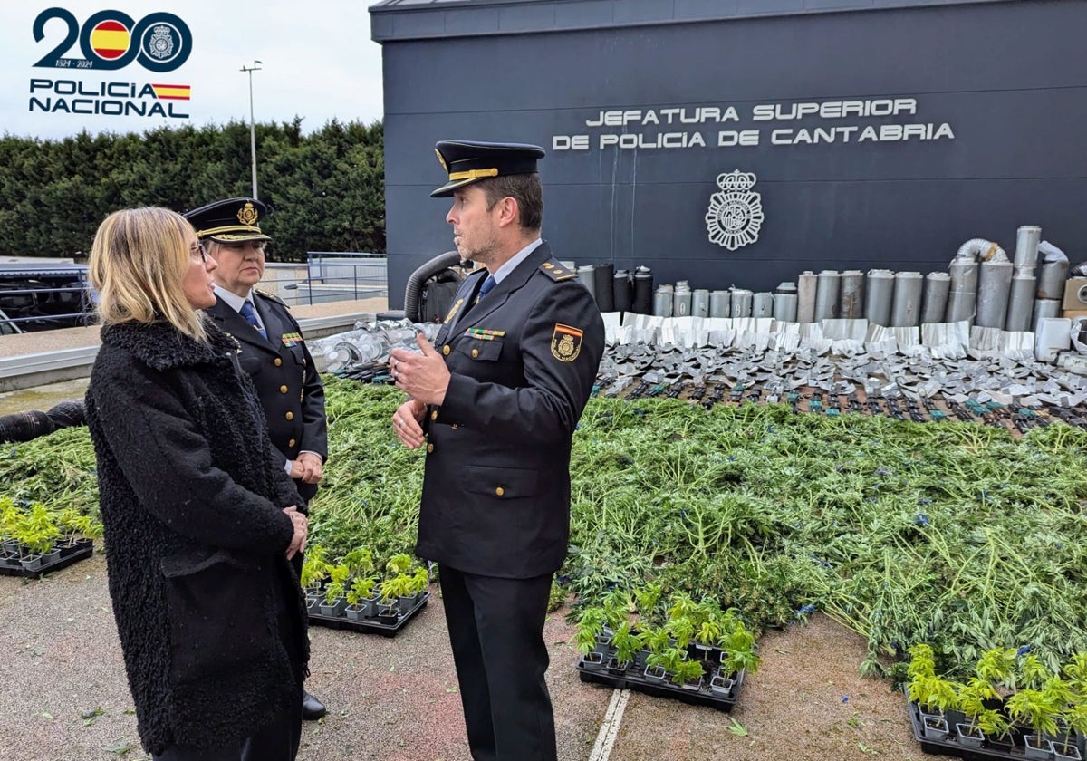 Detectan un error en la cifra de marihuana por la que un traficante quedó en libertad