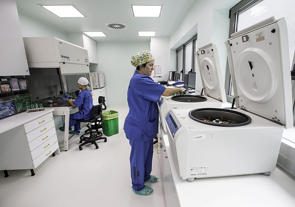 Laboratorio de la Unidad de Reproducción Asistida del Hospital Valdecilla de Santander.