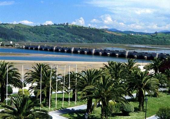 Palmeral del parque público de San Vicente de la Barquera.