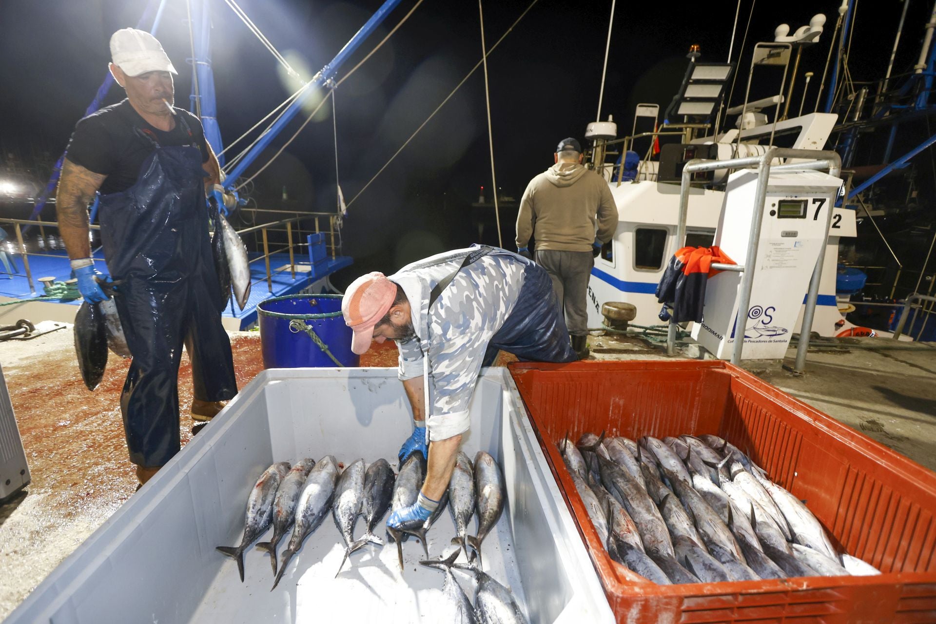 A partir de las cuatro y media de la mañana ha comenzado la descarga del pescado. 