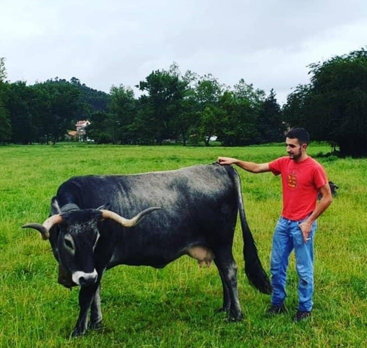 José Antonio Rodríguez, de Mazcuerras, junto a 'Sonora', una tudanca de 16 años.