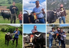 La élite de las tudancas en la 'pasá' de Santander