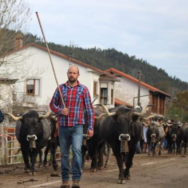 El ganadero Ángel Pérez de Herrera de Ibio (Mazcuerras)desfila junto a su cabaña durante la feria de Ibio celebrada el pasado mes de diciembre.