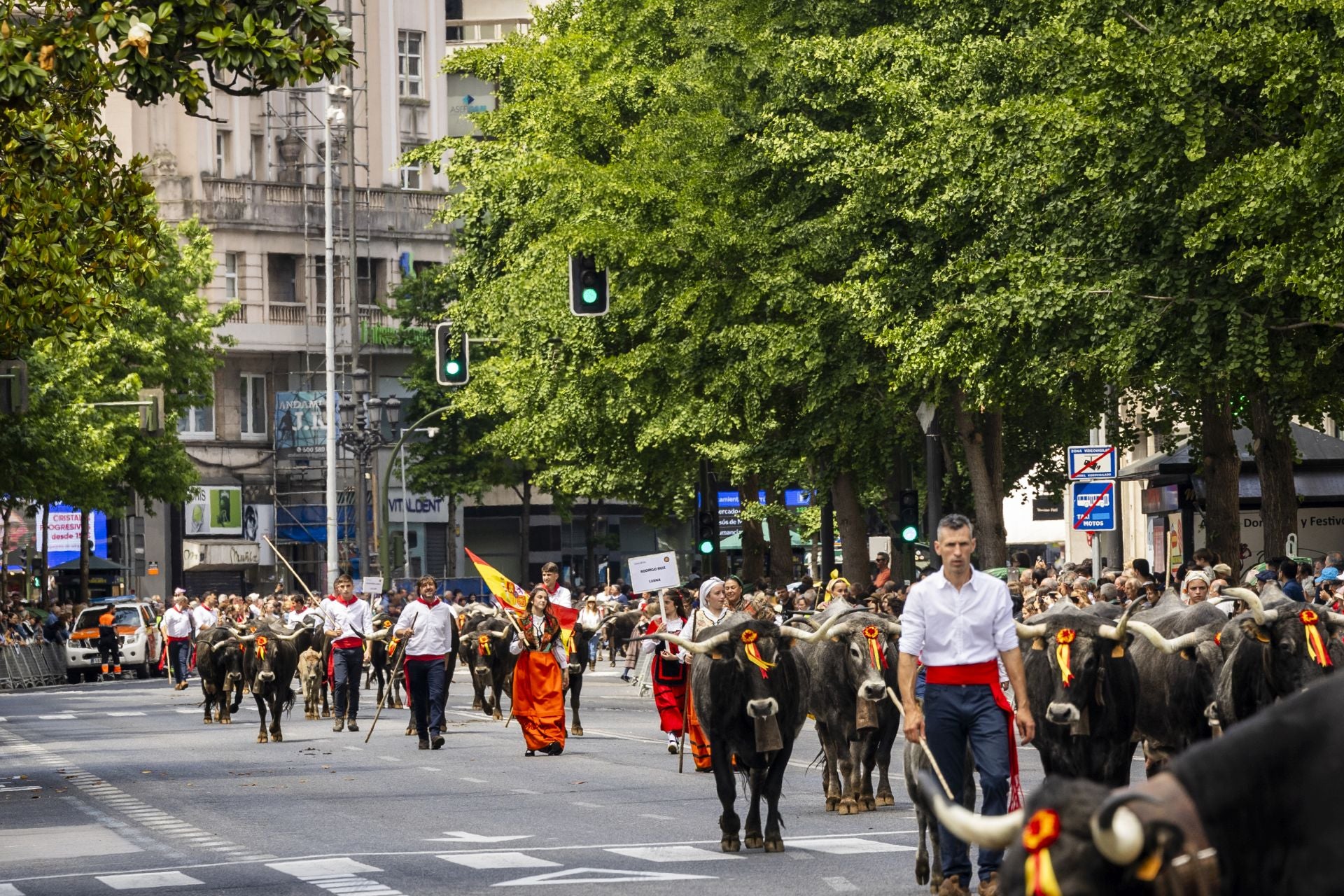 La calle Calvo Sotelo ha sido una de las vías donde más espectadores se han congregado.