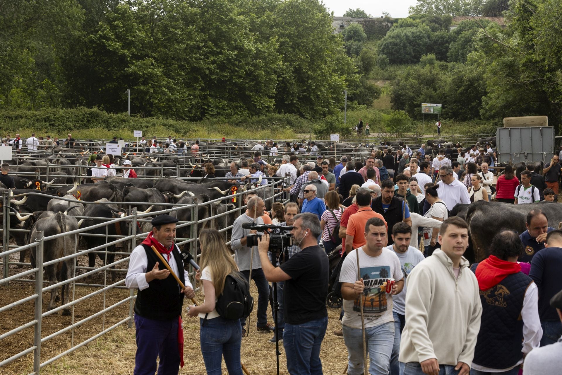 La zona de La Remonta ha acogido al ganado desde primera hora.