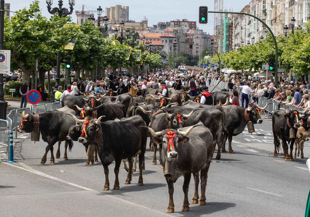 Multitudinaria 'pasá' por Santander