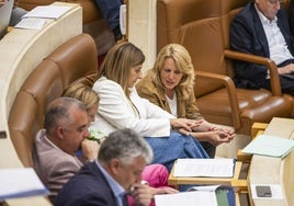 Sáenz de Buruaga, conversa con la consejera Susinos durante el pleno de este lunes.