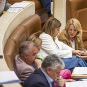 Sáenz de Buruaga, conversa con la consejera Susinos durante el pleno de este lunes.