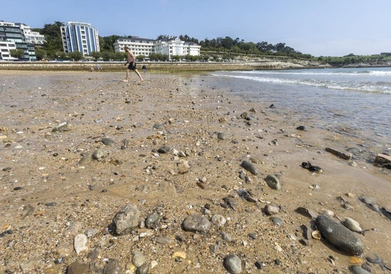 La bajamar en la Segunda de El Sardinero revela miles de piedras a causa de la falta de arena.