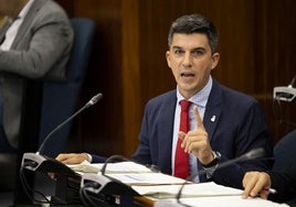 Daniel Fernández, portavoz del PSOE en el Ayuntamiento de Santander.