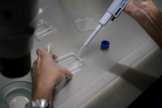 Una técnico manipula una muestra en el laboratorio.