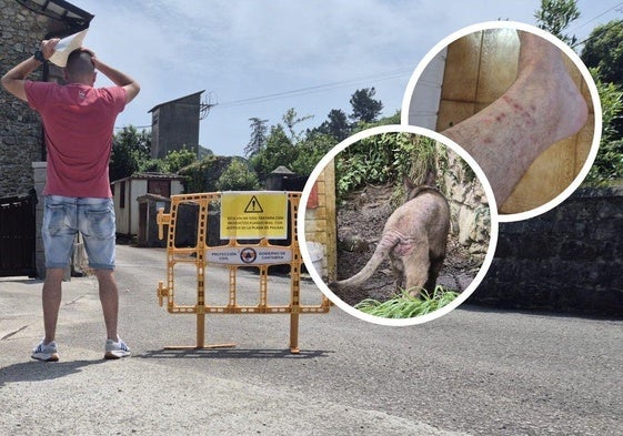 La calle Los Corrales lleva diez días cortada por la plaga de pulgas.