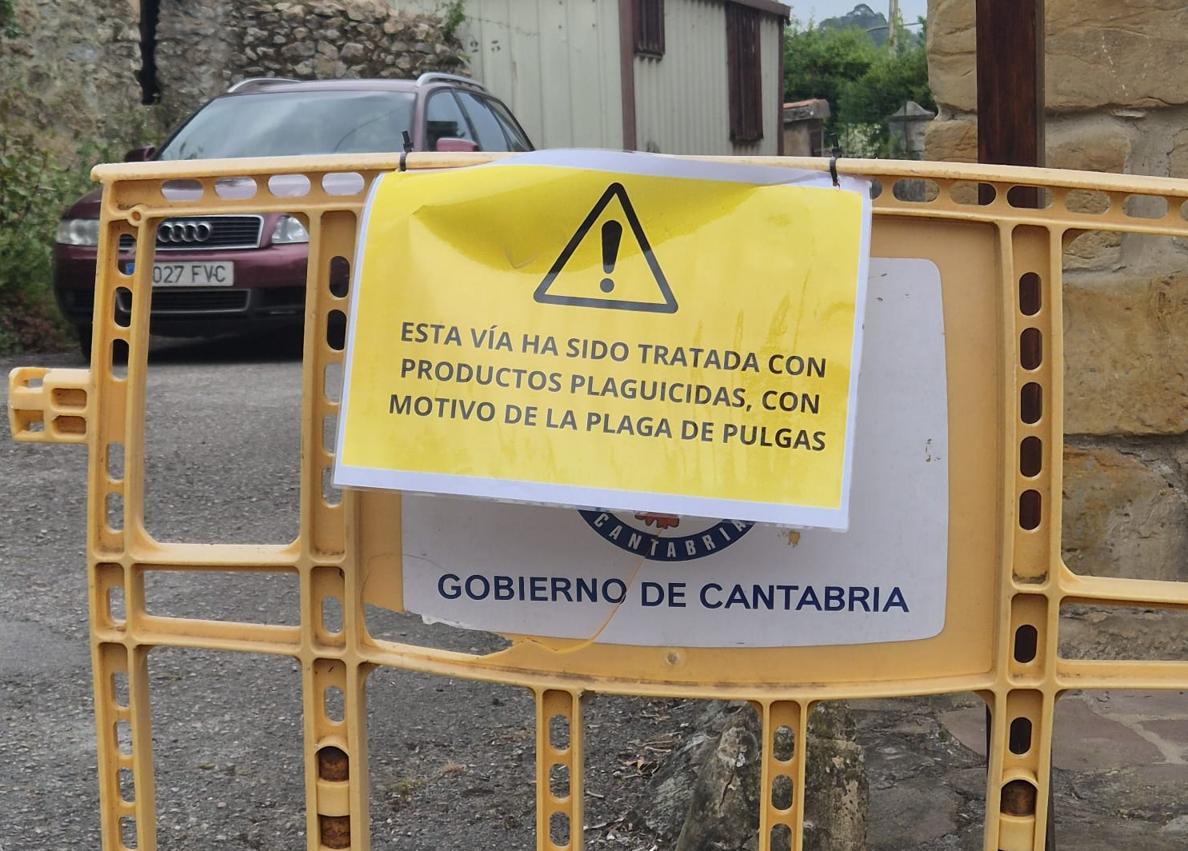 Imagen secundaria 1 - Arriba, las tres casas colindates. En la del medio se encuentra el foco de la plaga. Abajo, a la izquierda, la valla de advertencia y a la derecha, uno de los perros «con sarna».