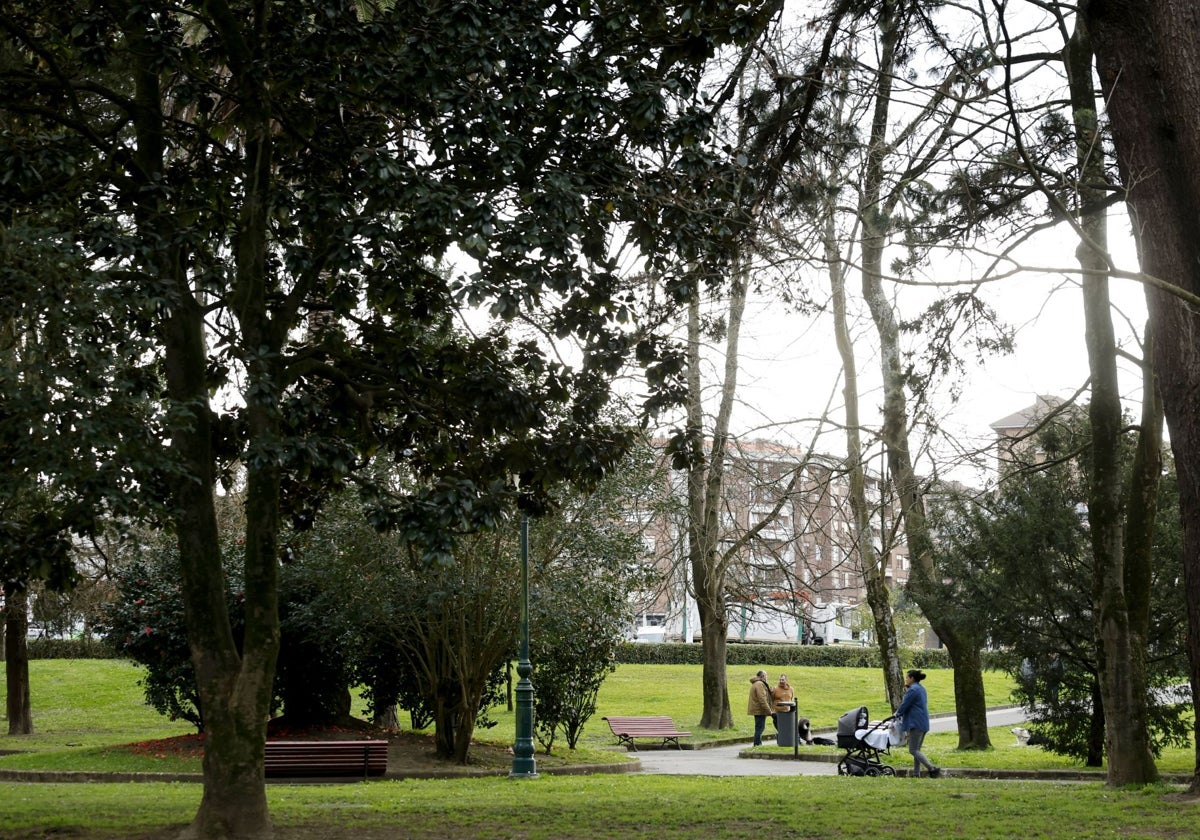 Los árboles del parque Manuel Barquín.