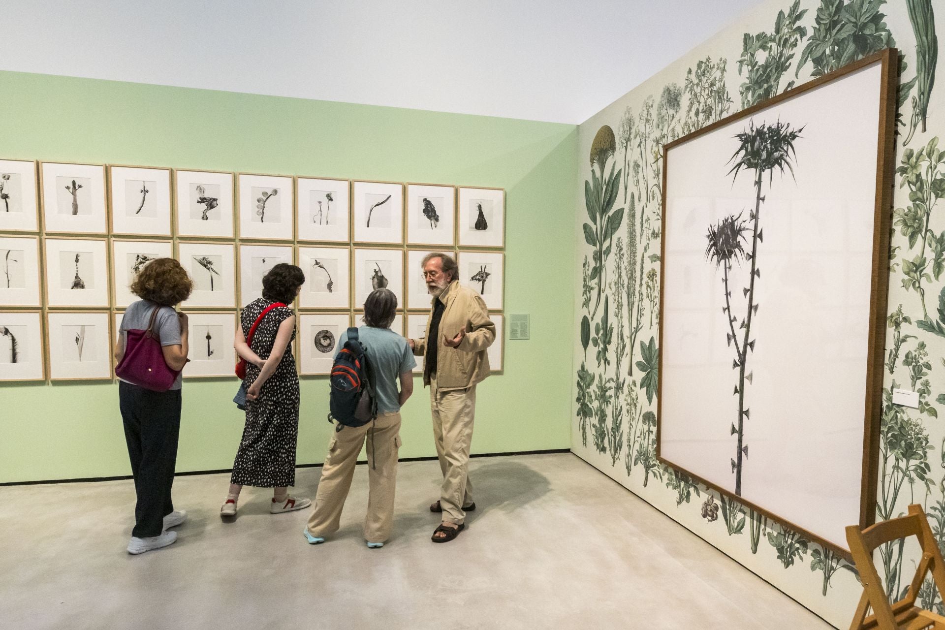 Las plantas han formado parte de varias de las series temáticas del artista.