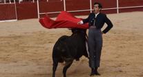 Música, toros y caballos