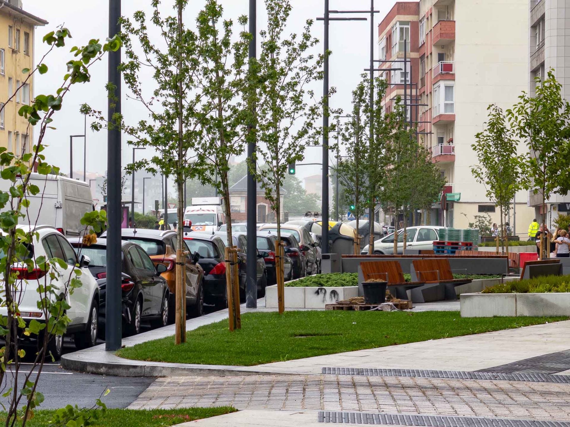 Los trabajos también incluían la plantación de árboles. 