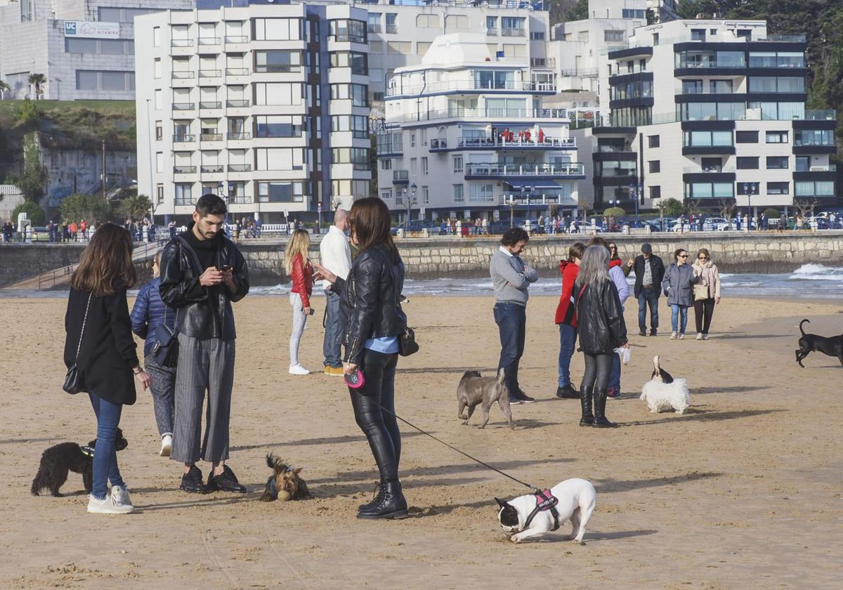 Paseantes con sus perros en La Segunda de El Sardinero.