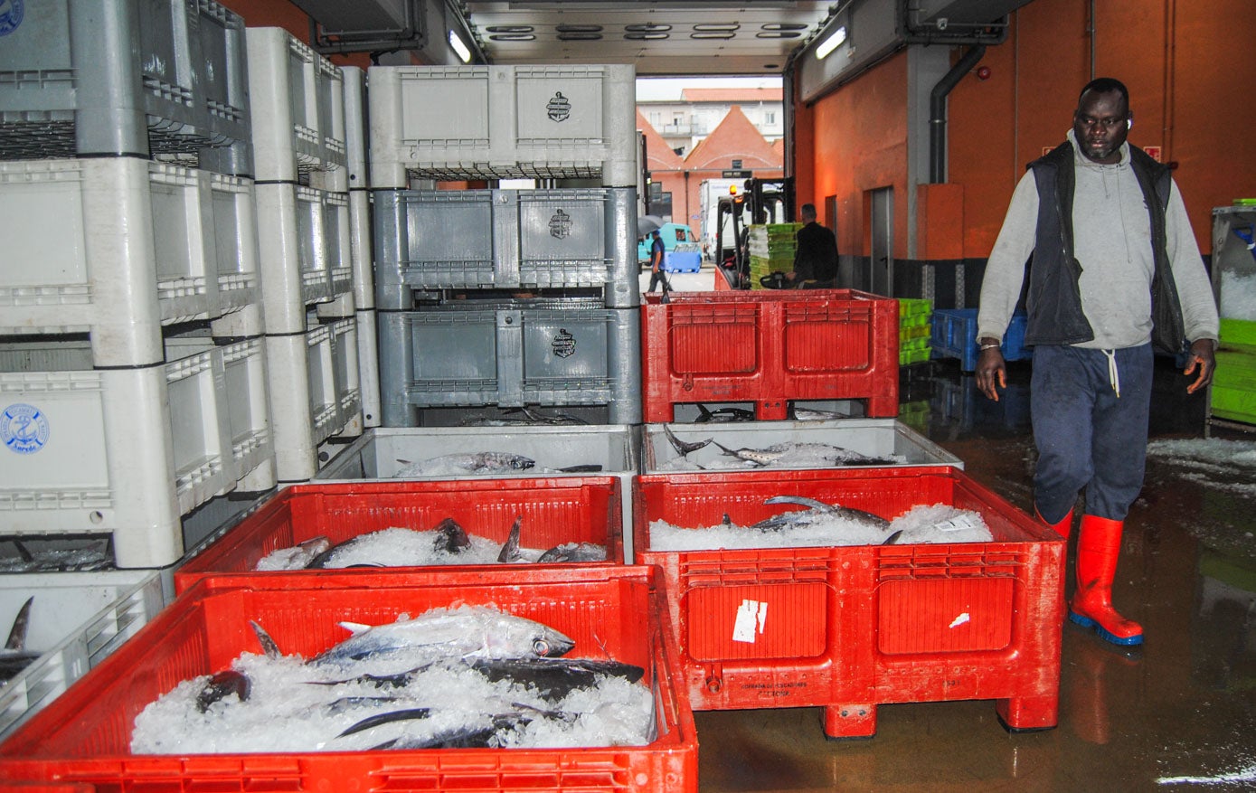 Las tinas, repletas de pescado, se apilaban en las distintas salas de la lonja.