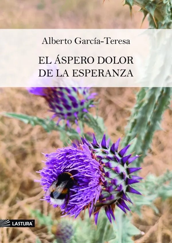 &#039;El áspero dolor de la esperanza&#039;