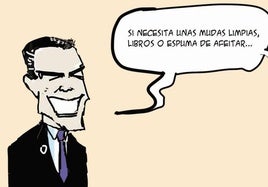 Contundencia