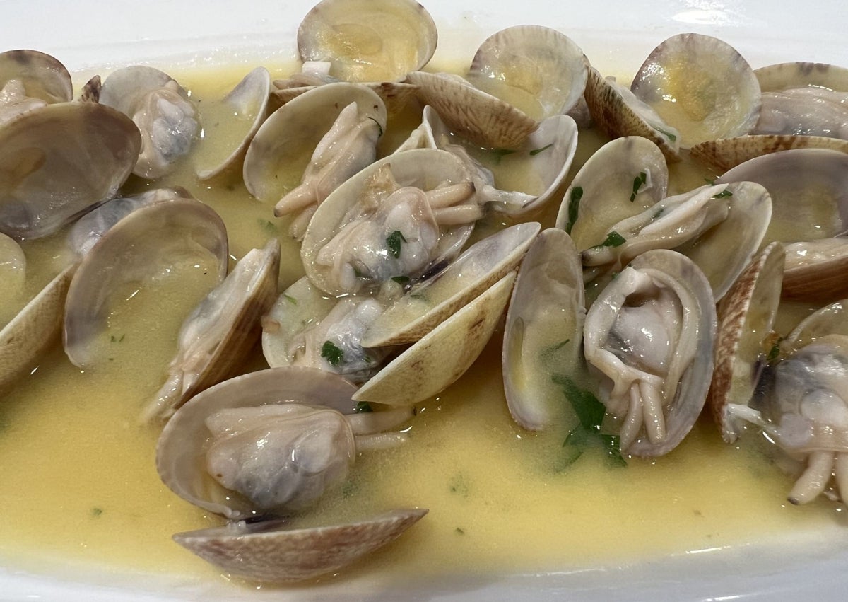 Imagen secundaria 1 - Espectacular ventresca de bonito por su sabor y textura; almejas a la marinerea y fran de queso.