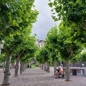 Árboles de la Plaza de La Barrera en Castro Urdiales.
