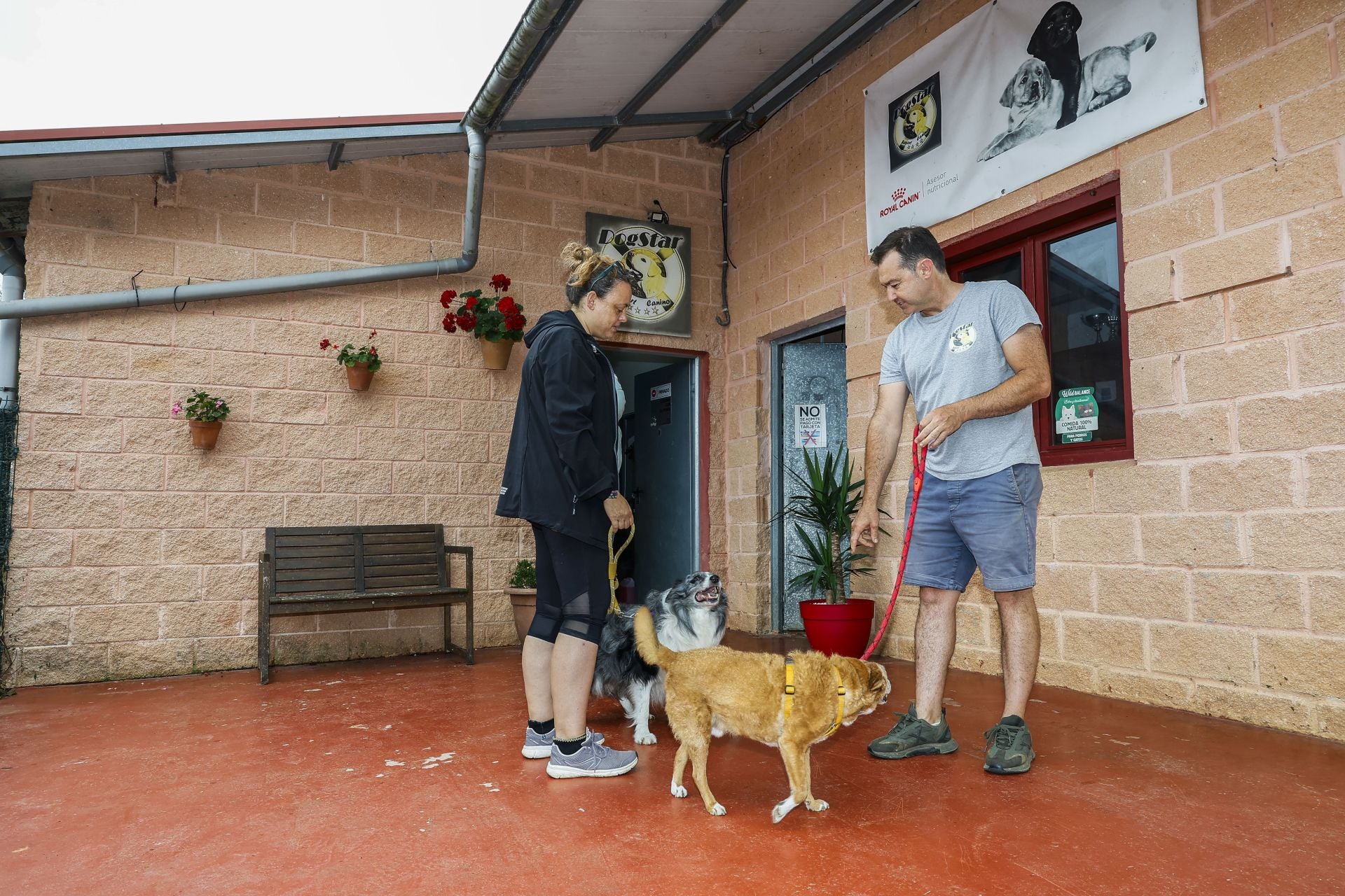 Zulema Pérez se va de vacaciones y deja a Jade y Lolo en el DogStar Resort Canino de Quijas (Reocín), un hotel canino en el que estarán alojados tres semanas