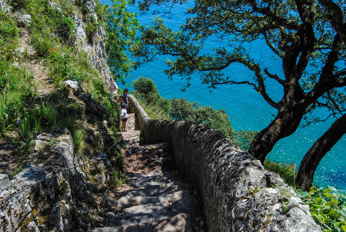 El descenso y ascenso de los escalones se puede realizar sin aglomeraciones