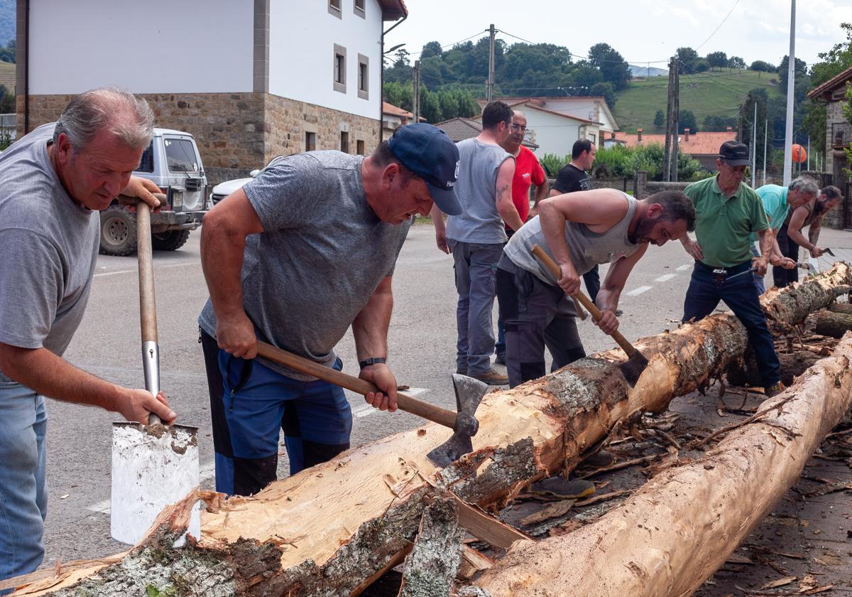 Los troncos ya están en la plaza de Santiago de Silió.