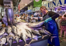 Gran cantidad de bonitos de diferentes tamaños, protagonistas en el Mercado de la Esperanza.