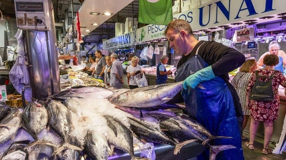 Gran cantidad de bonitos de diferentes tamaños, protagonistas en el Mercado de la Esperanza.