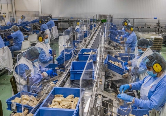 Trabajadoras del Grupo Consorcio en Santoña, con las pertinentes medidas en la época de la pandemia.