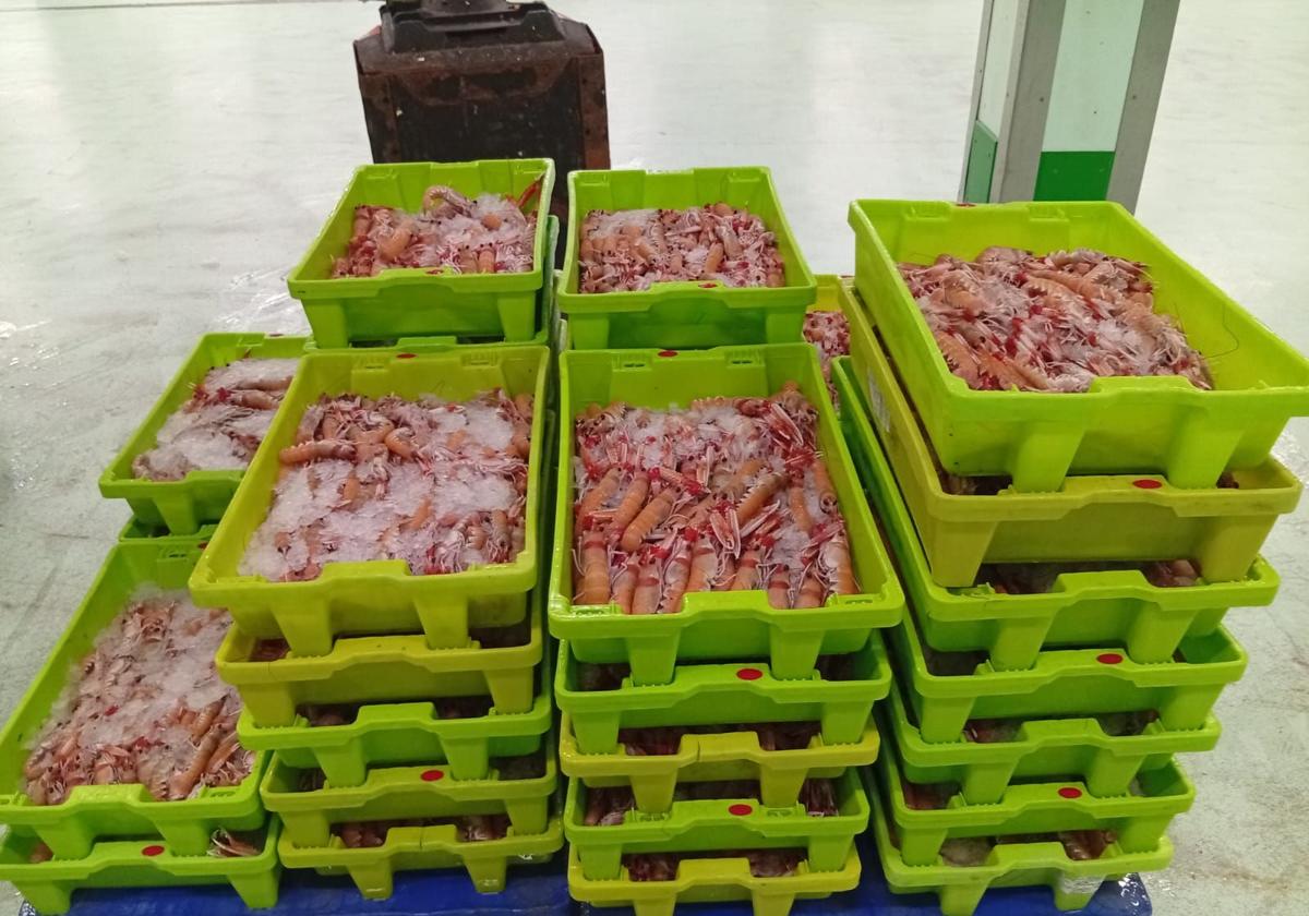 Las cajas de cigalas sin documentación fueron precintadas en la lonja y después entregadas a un centro benéfico.